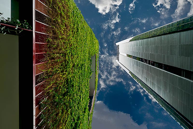 singapore vertical gardens
